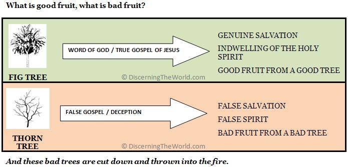 Good Fruit Bad Fruit - © DiscerningTheWorld.com - Fair Use Copyright - Please link to www.discerningtheworld.com when using this Image